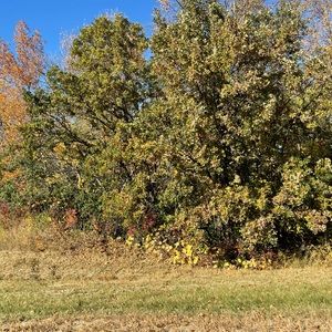 Meet your Posher, Finder